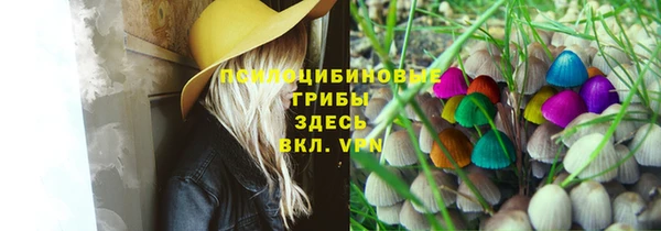 не бодяженный Богданович